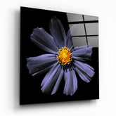 Purple Flower Glass Wall Art.